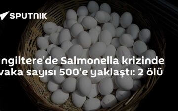 ithal yumurta