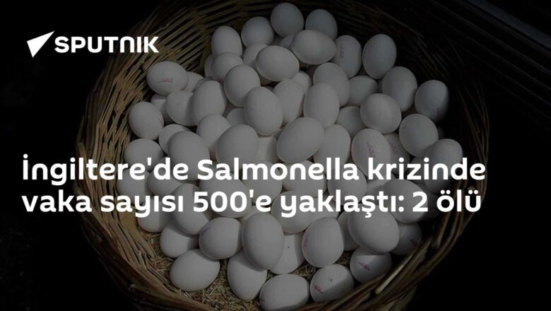 ithal yumurta