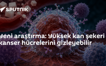 Glycocalyx