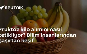 fruktoz ve yağ emilimi