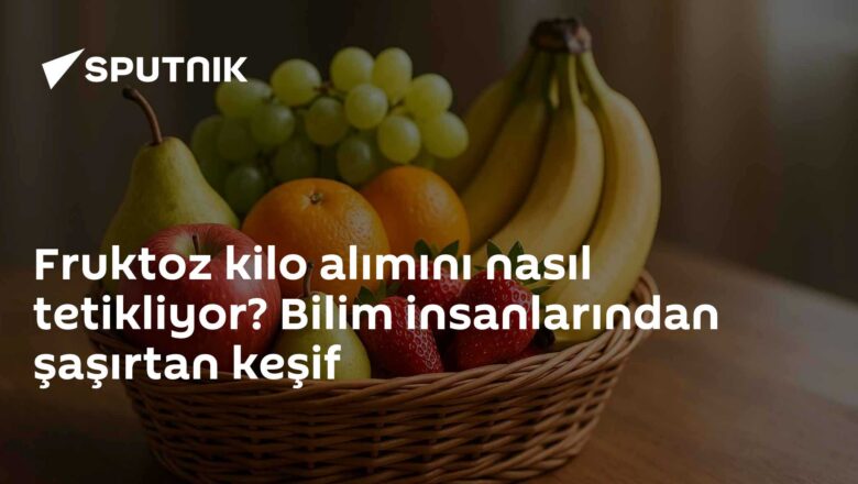 fruktoz ve yağ emilimi